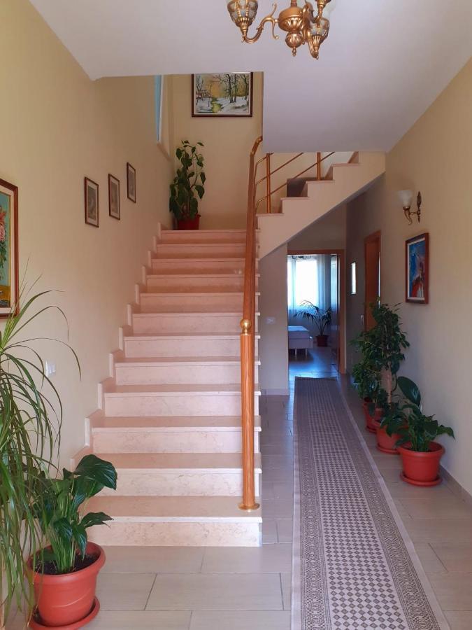 Guest House Zadeja Shkodër Exterior foto